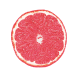 GRAPEFRUIT